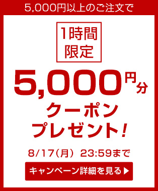 5000yen_coupon_pb_m_20150813