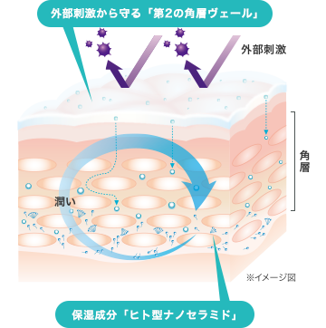 ヴァイタサイクルヴェール